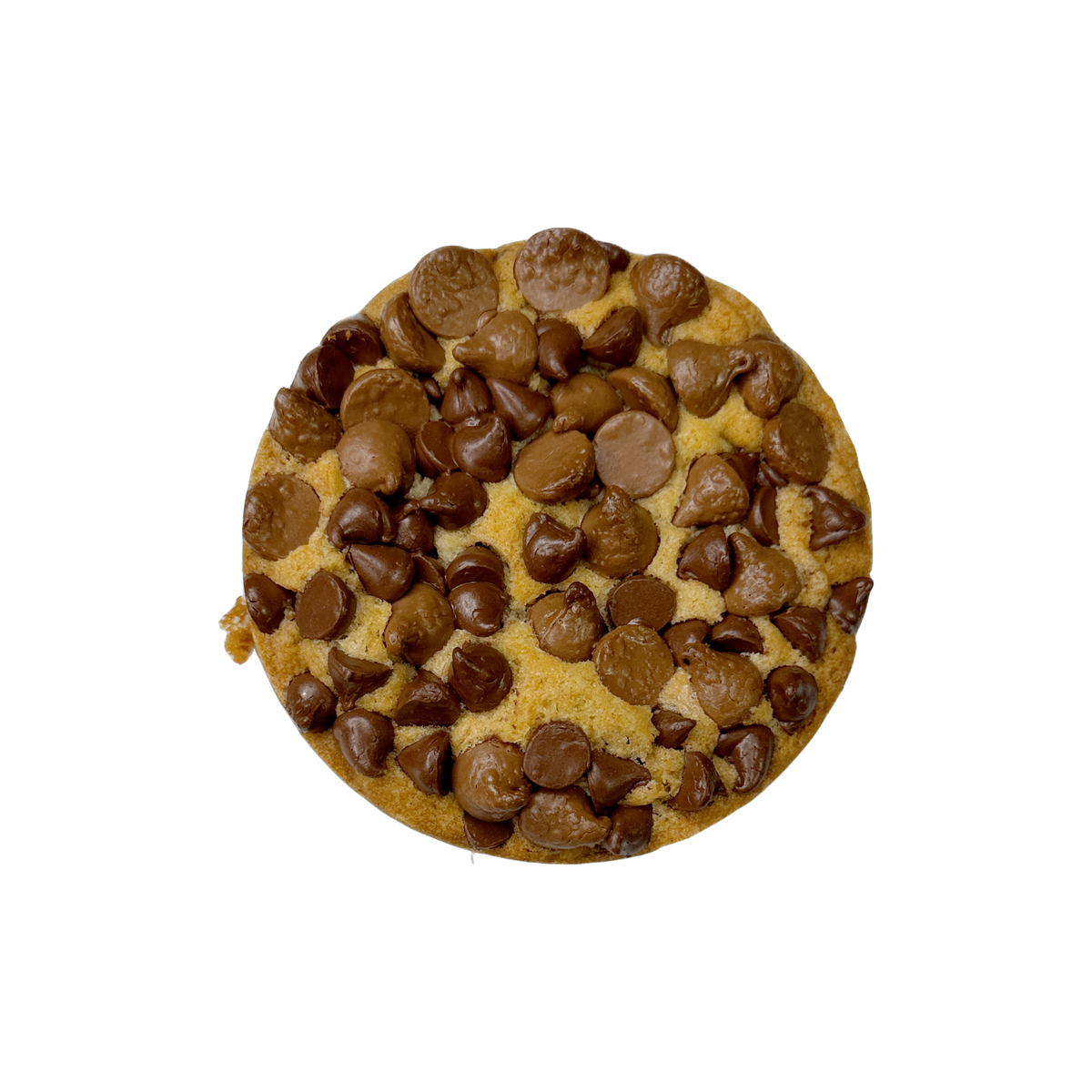 Double Chocolaty Chip Signature Cookie
