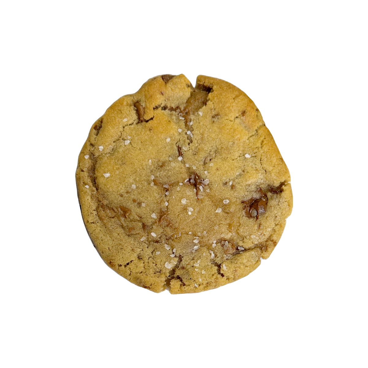 Double Chocolaty Chip Select Cookie - 12 Pack